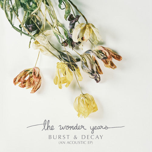 Wonder Years: Burst & Decay