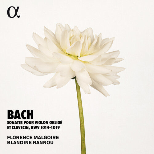 Bach, J.S. / Rannou / Malgoire: Sonates Violon Oblige