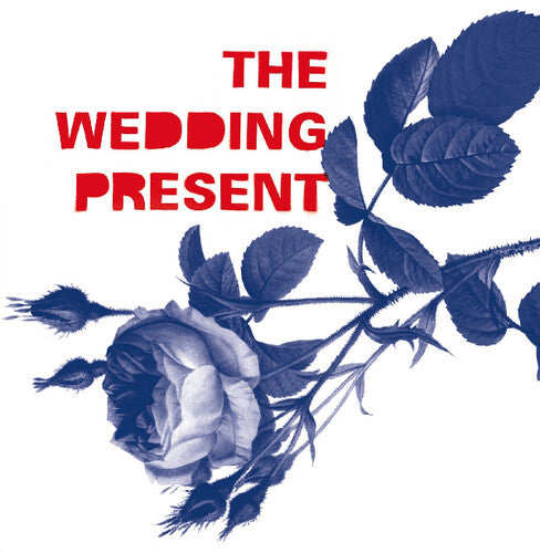 Wedding Present: Tommy 30