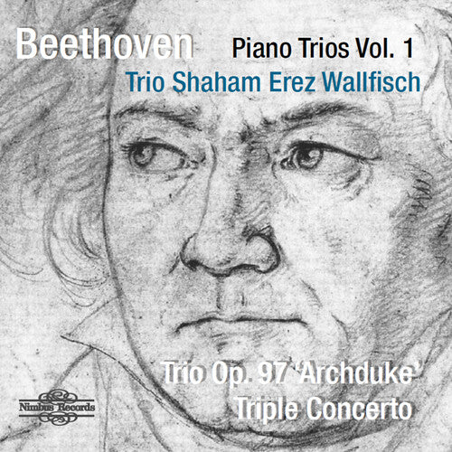 Beethoven / Trio Shahm Erez Wallfisch: Piano Trio 1 - COMPACT DISCS