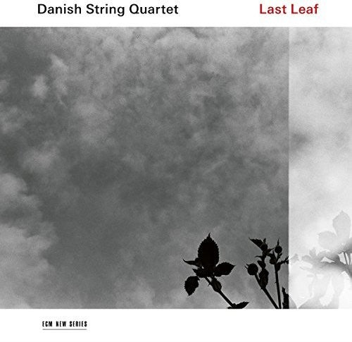 Danish String Quartet: Last Leaf