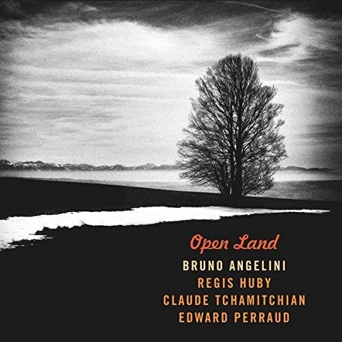 Angelini, Bruno: Open Land