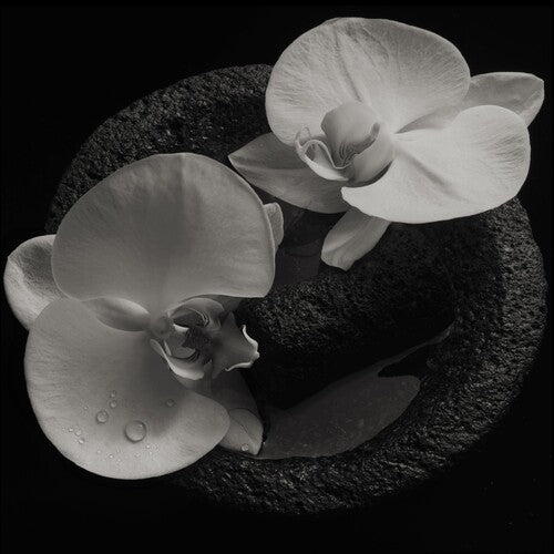 Mike Patton & Jean-Claude Vannier: Corpse Flower - COMPACT DISCS