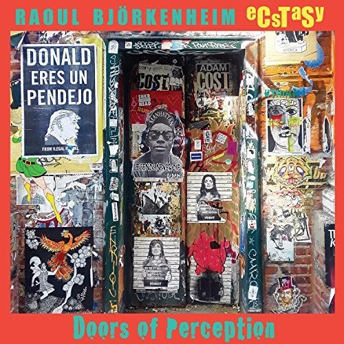 Bjorkenheim, Raoul / Ecstasy: Doors Of Perception