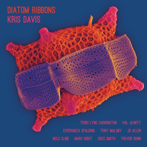 Davis, Kris: Diatom Ribbons