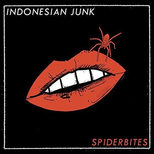 Indonesian Junk: Spiderbites