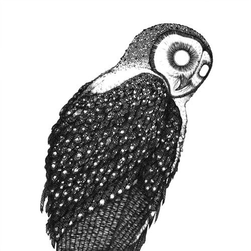 Vtcn Radio: Mydriase