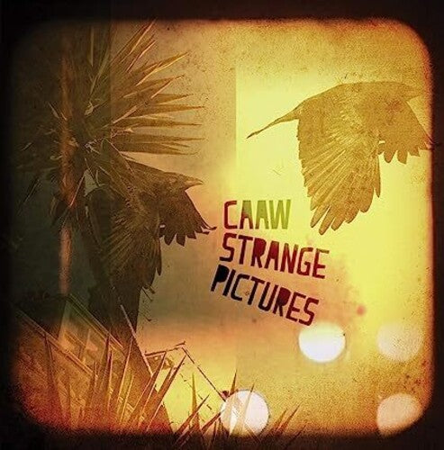 Caaw: Strange Pictures