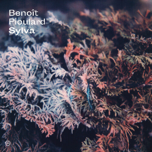 Pioulard, Benoit: Sylva