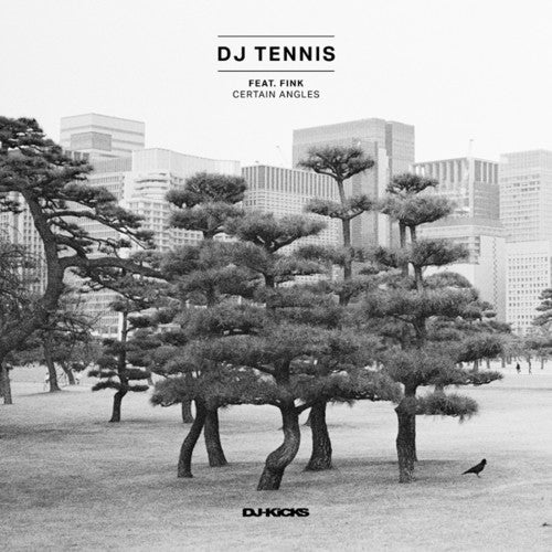 DJ Tennis Feat Fink: Certain Angles