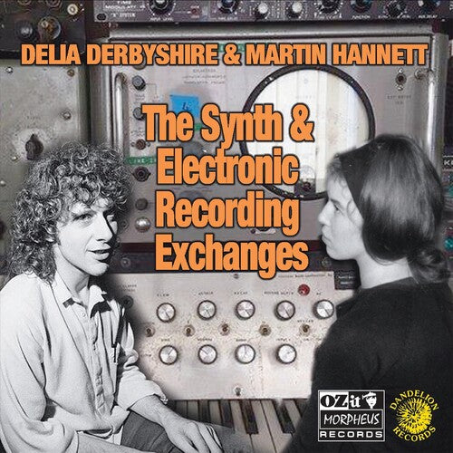 Derbyshire, Delia / Hannett, Martin: Synth And Electronic Recording Exchanges - VINYL LP