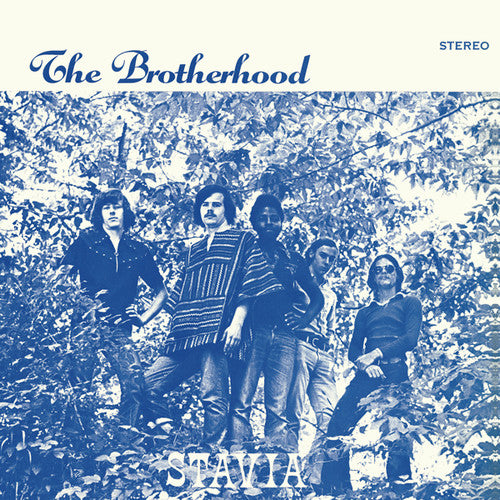 Brotherhood: Stavia