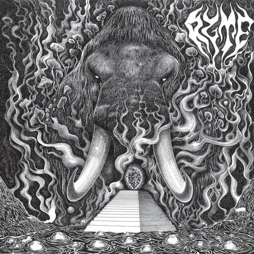 Ryte: Ryte - COMPACT DISCS