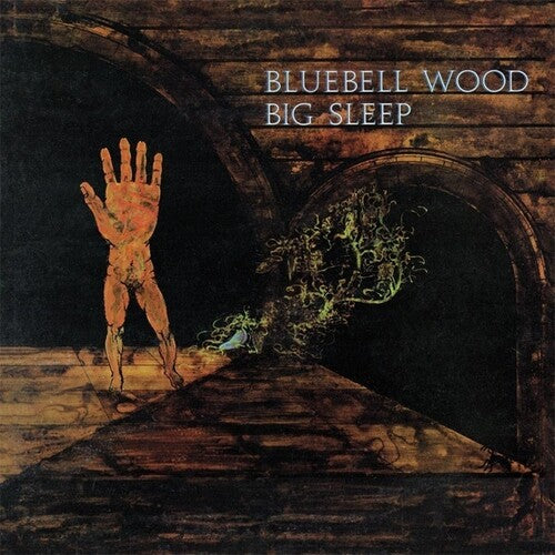 Big Sleep: Bluebell Wood