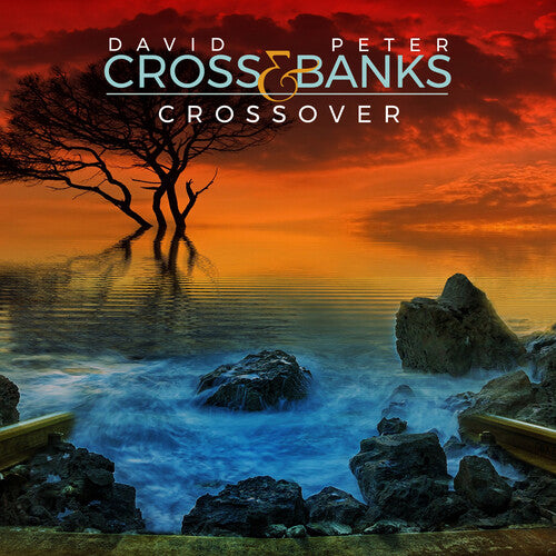 Cross, David / Banks, Peter: Crossover