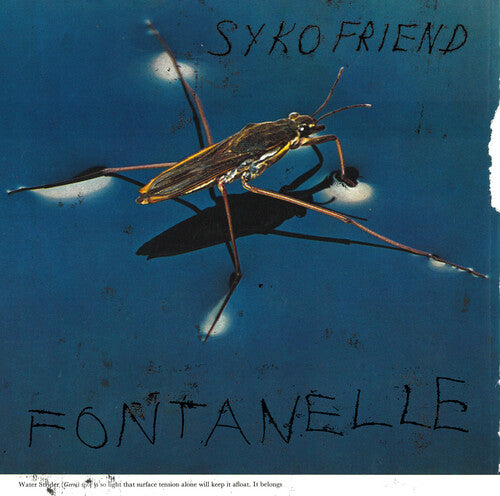 Syko Friend: Fontanelle