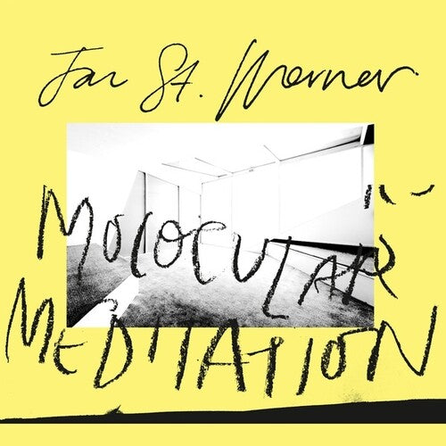 Werner, Jan st: Molocular Meditation