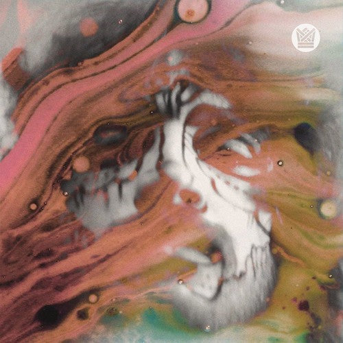 El Michels Affair: Strange Boy / No Surprise