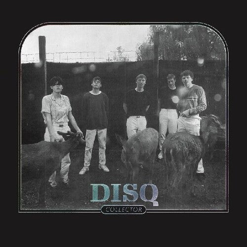 Disq: Collector