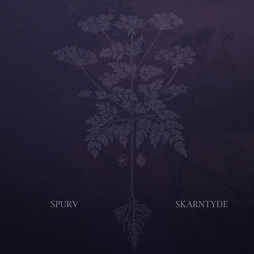 Spurv: Skarntyde