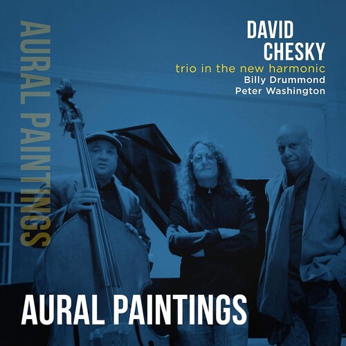 David Chesky: Trio In The New Harmonic: Aural Paintings - COMPACT DISCS