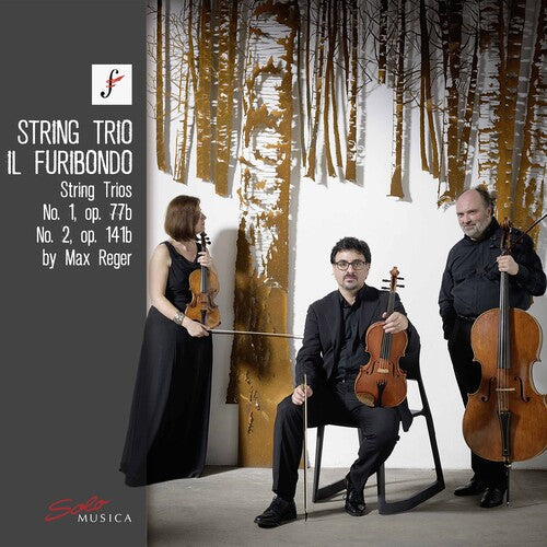 Reger / Furibondo: String Trios 1