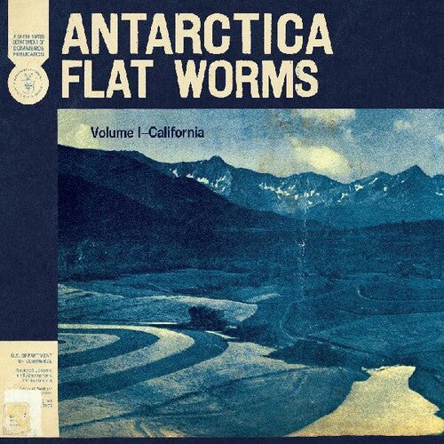 Flat Worms: Antarctica