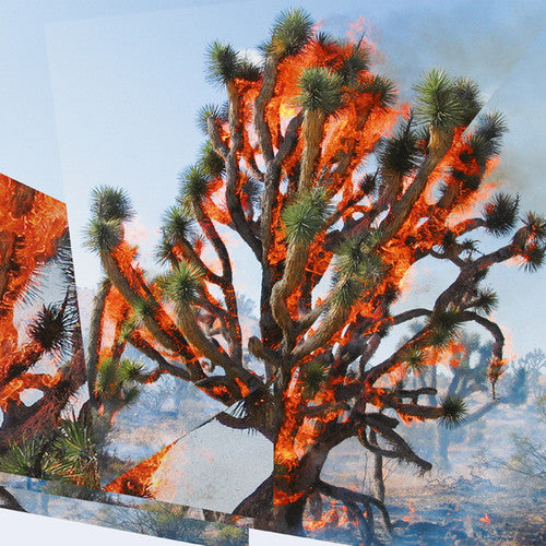 Ambarchi, Oren / Jaeger, Kassel / Rushford, James: Face Time