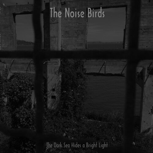 Noise Birds: The Dark Sea Hides a Bright Light