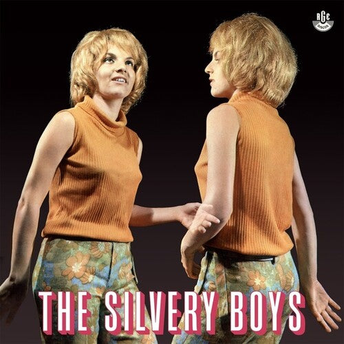 Silvery Boys: The Silvery Boys