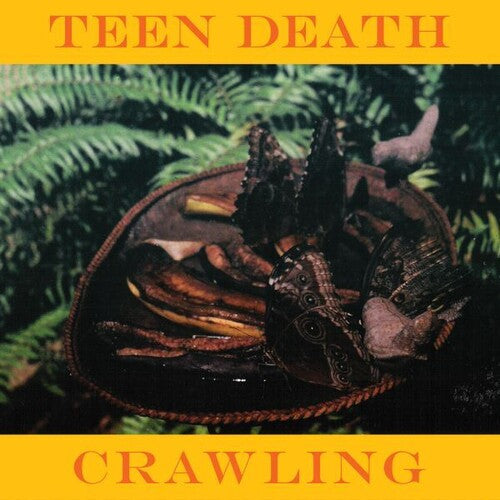 Teen Death: Crawling & More - CASSETTES