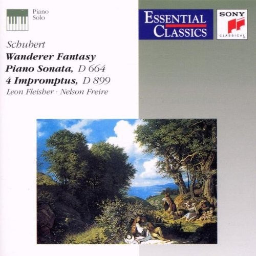 Fleisher: Wanderer Fantasy