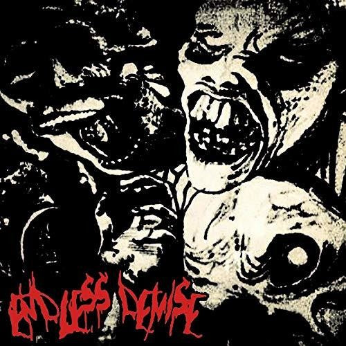 Endless Demise / Podrido: Split