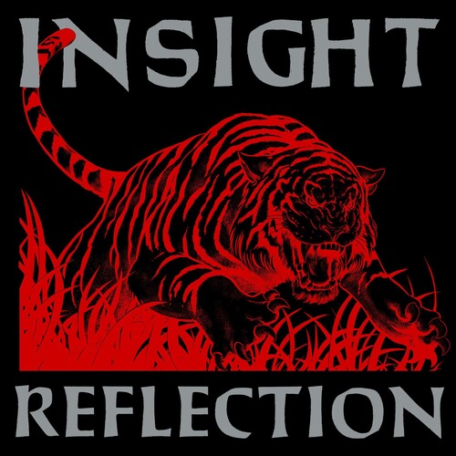 Insight: Reflection