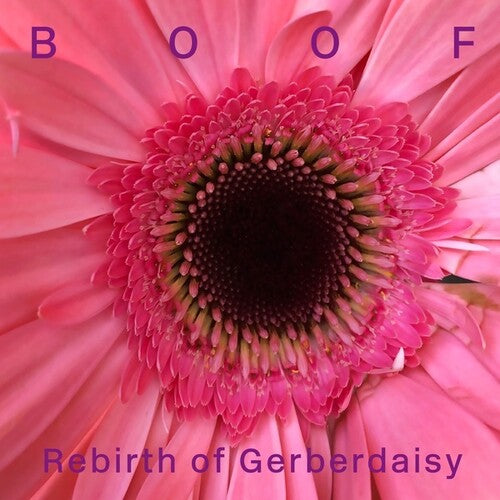 Boof: Rebirth of Gerberdaisy