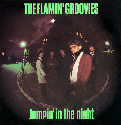 Flamin' Groovies: Jumpin' In The Night