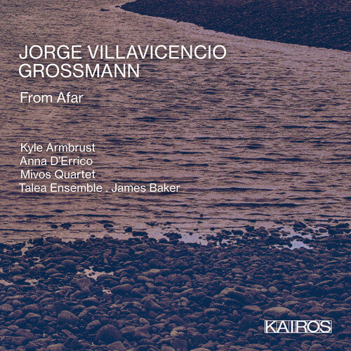 Jorge Villavicencio Grossmann: From Afar / Various: Jorge Villavicencio Grossmann: From Afar (Various Artists)