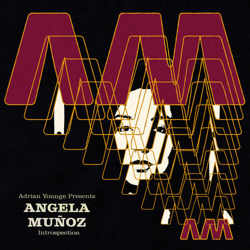 Munoz, Angela: Introspection