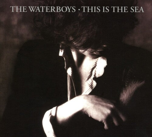 Waterboys: This Is The Sea: Collectors Edition