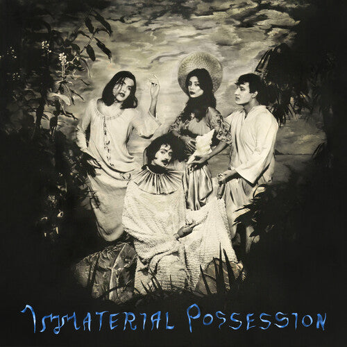 Immaterial Possession: Immaterial Possession