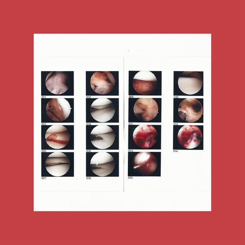 Cradle: Laughing In My Sleep (co - VINYL LP
