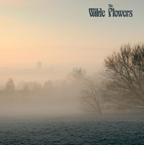 The Wilde Flowers: The Wilde Flowers - VINYL LP
