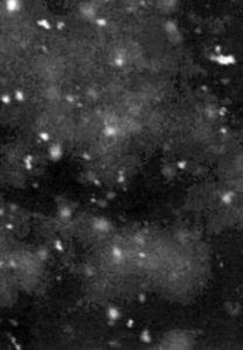 Paysage D'Hiver: Einsamkeit