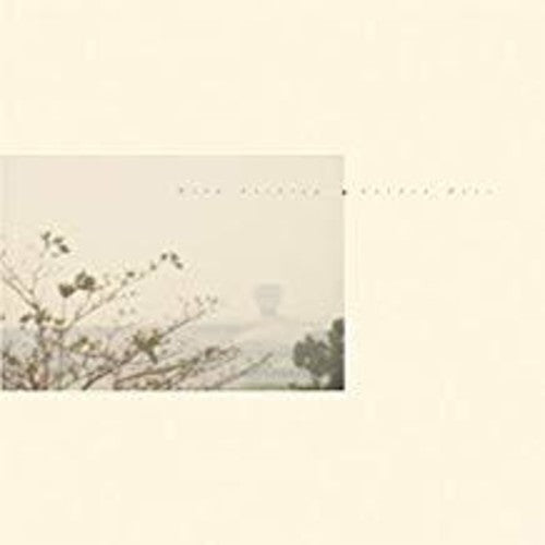 Wild Nothing: Golden Haze (CT10 Edition) - VINYL LP