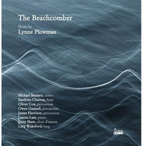 Plowman, Lynne: The Beachcomber