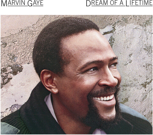 Gaye, Marvin: Dream Of A Lifetime