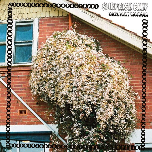 Surprise Chef: Dayling Savings - VINYL LP