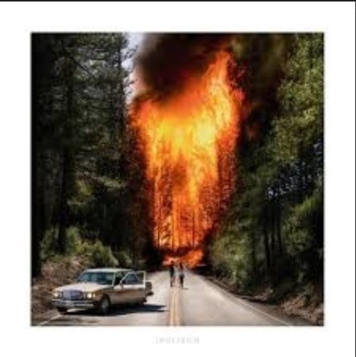 Ladytron: Ladytron - VINYL LP
