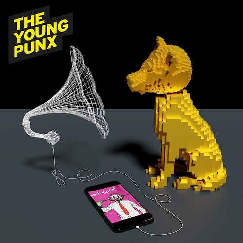 Young Punx: Best Of 2004-2014