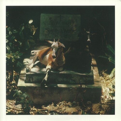 Spirits & Worm: Spirits & Worm - VINYL LP